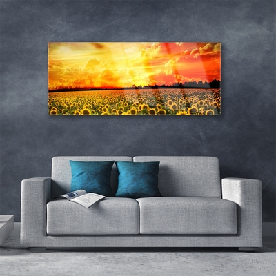 Glass Wall Art Meadow sunflowers floral green yellow brown