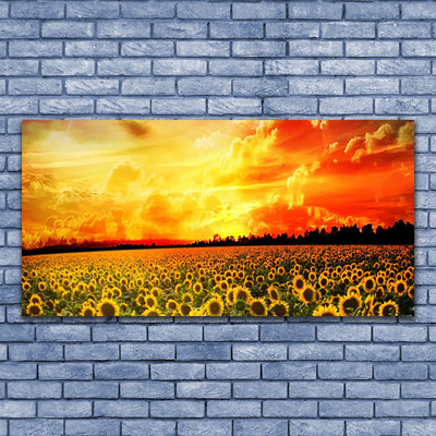Glass Wall Art Meadow sunflowers floral green yellow brown