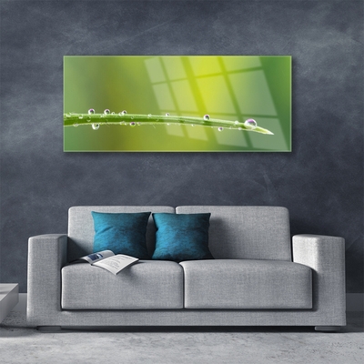 Glass Wall Art Grass dew drops floral green