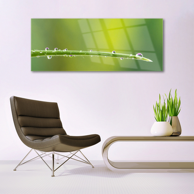 Glass Wall Art Grass dew drops floral green