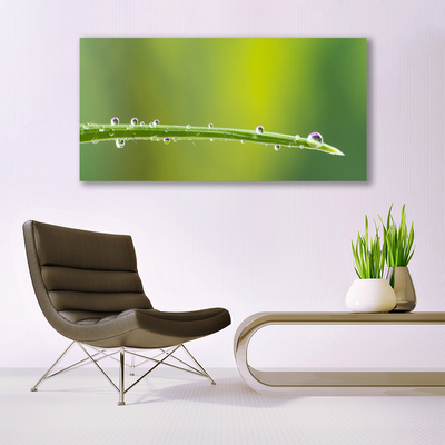 Glass Wall Art Grass dew drops floral green