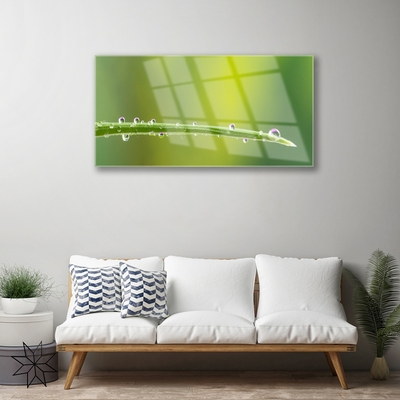 Glass Wall Art Grass dew drops floral green