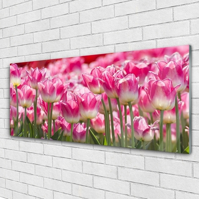 Glass Wall Art Tulips floral green white red