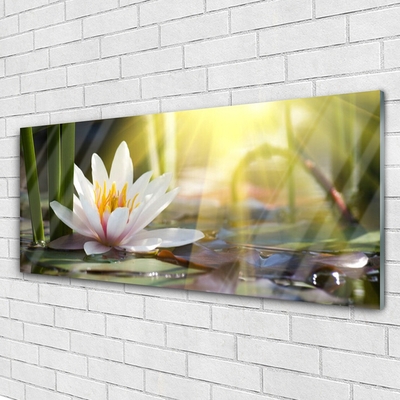 Glass Wall Art Flowers water floral white green