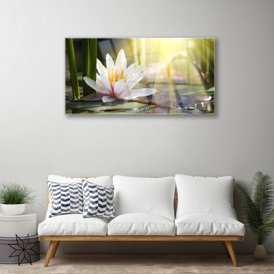 Glass Wall Art Flowers water floral white green