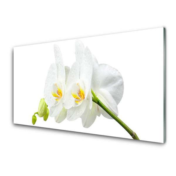 Glass Wall Art Flowers floral white