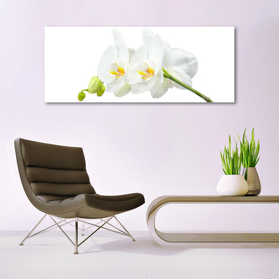 Glass Wall Art Flowers floral white