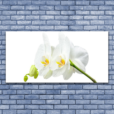 Glass Wall Art Flowers floral white