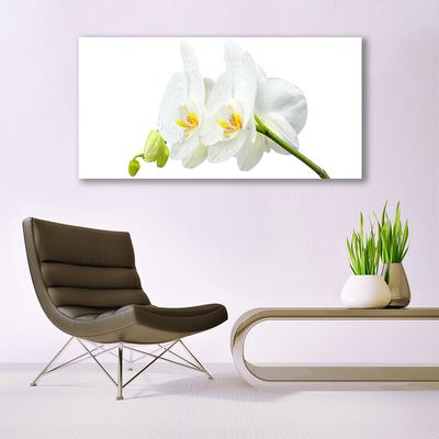 Glass Wall Art Flowers floral white