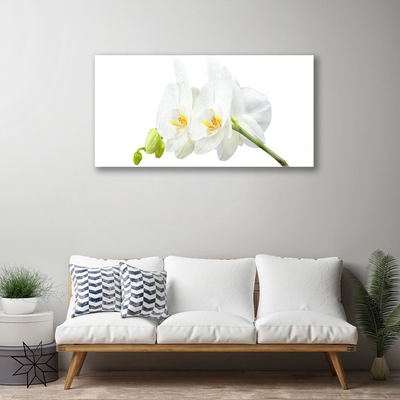 Glass Wall Art Flowers floral white