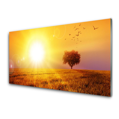 Glass Wall Art Sun meadow landscape yellow brown