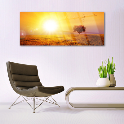 Glass Wall Art Sun meadow landscape yellow brown