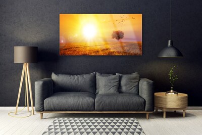 Glass Wall Art Sun meadow landscape yellow brown