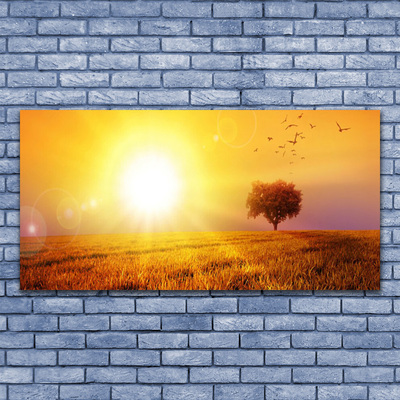 Glass Wall Art Sun meadow landscape yellow brown