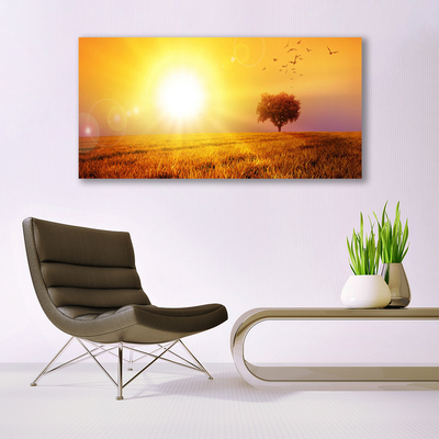 Glass Wall Art Sun meadow landscape yellow brown