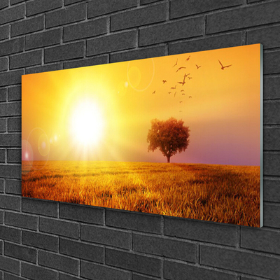 Glass Wall Art Sun meadow landscape yellow brown