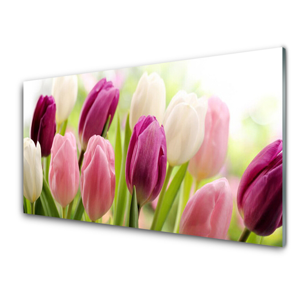 Glass Wall Art Tulips floral white red pink