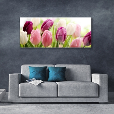 Glass Wall Art Tulips floral white red pink