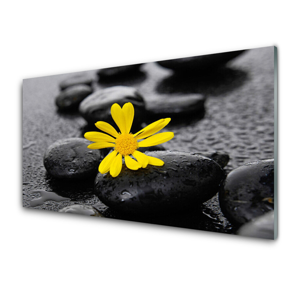 Glass Wall Art Flower stones art yellow black