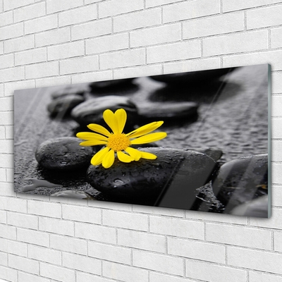 Glass Wall Art Flower stones art yellow black