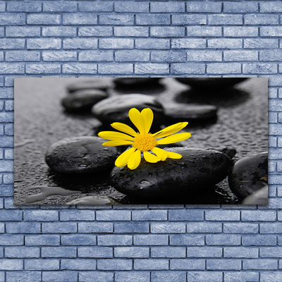 Glass Wall Art Flower stones art yellow black