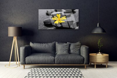 Glass Wall Art Flower stones art yellow black