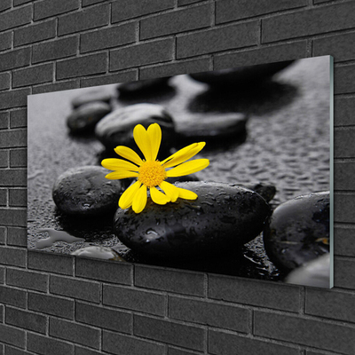 Glass Wall Art Flower stones art yellow black