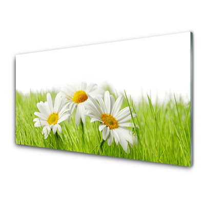 Glass Wall Art Grass daisies floral white green