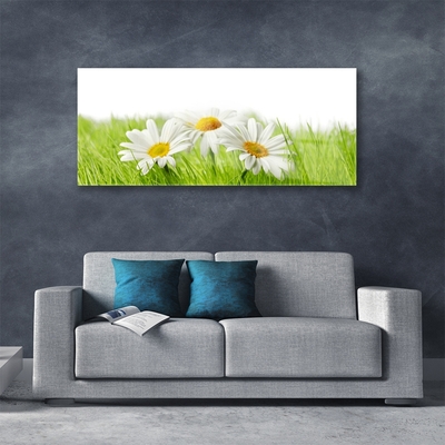 Glass Wall Art Grass daisies floral white green