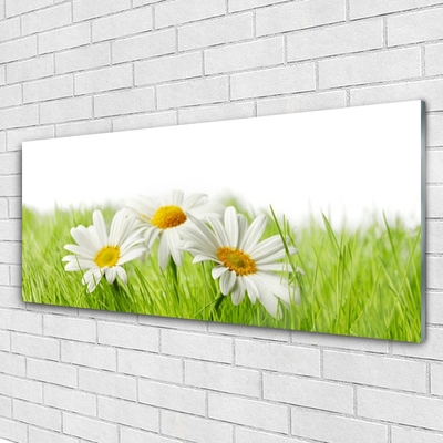 Glass Wall Art Grass daisies floral white green