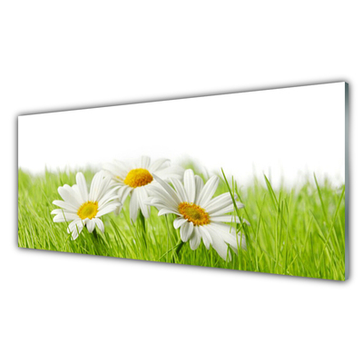 Glass Wall Art Grass daisies floral white green