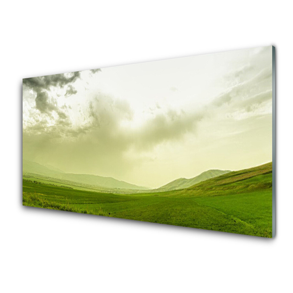 Glass Wall Art Meadow nature green