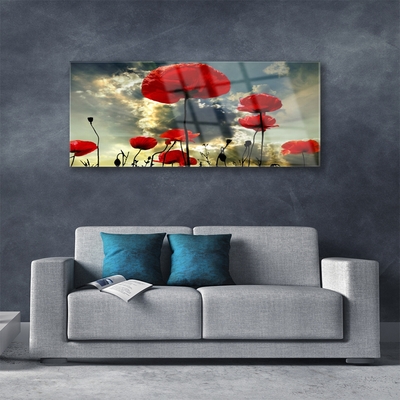 Glass Wall Art Poppies floral red