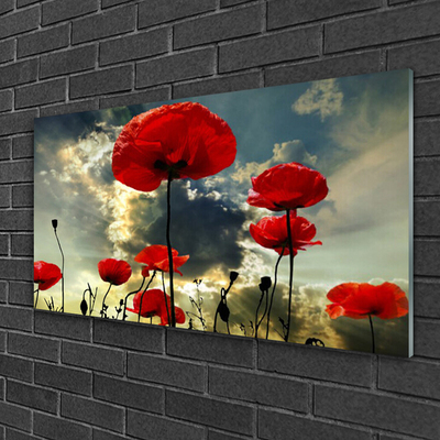 Glass Wall Art Poppies floral red