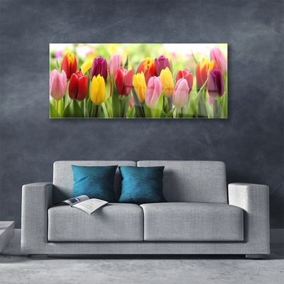Glass Wall Art Tulips floral pink red yellow