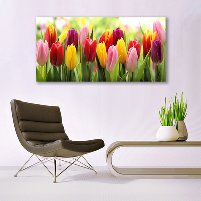 Glass Wall Art Tulips floral pink red yellow