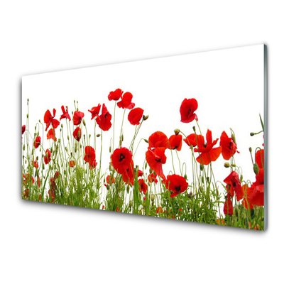 Glass Wall Art Poppies floral red green