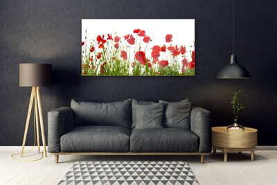 Glass Wall Art Poppies floral red green