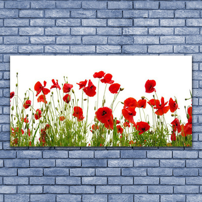 Glass Wall Art Poppies floral red green