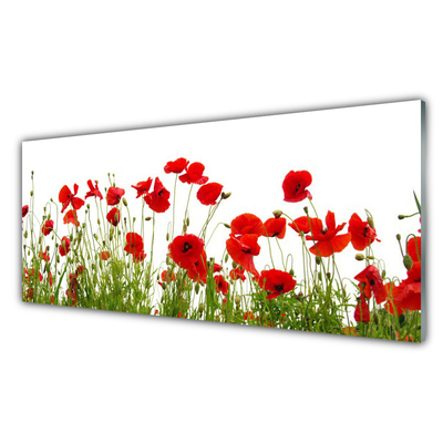 Glass Wall Art Poppies floral red green