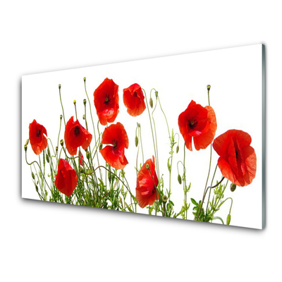 Glass Wall Art Poppies floral green red