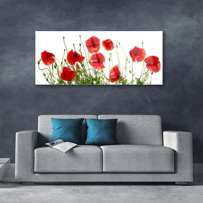 Glass Wall Art Poppies floral green red