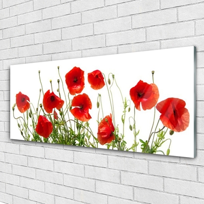 Glass Wall Art Poppies floral green red