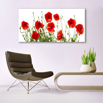 Glass Wall Art Poppies floral green red