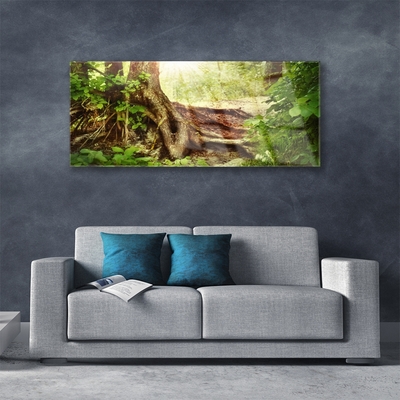 Glass Wall Art Tree trunk nature brown green