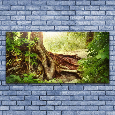 Glass Wall Art Tree trunk nature brown green