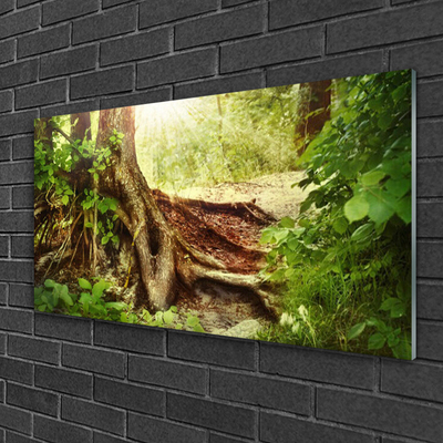 Glass Wall Art Tree trunk nature brown green