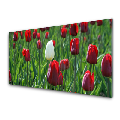 Glass Wall Art Tulips floral red white green