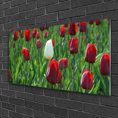 Glass Wall Art Tulips floral red white green