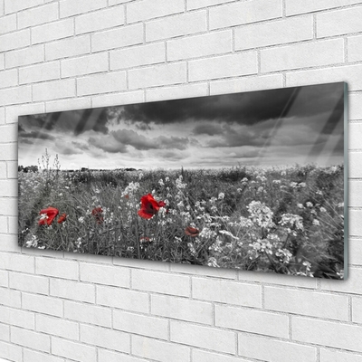 Glass Wall Art Meadow flowers nature grey red